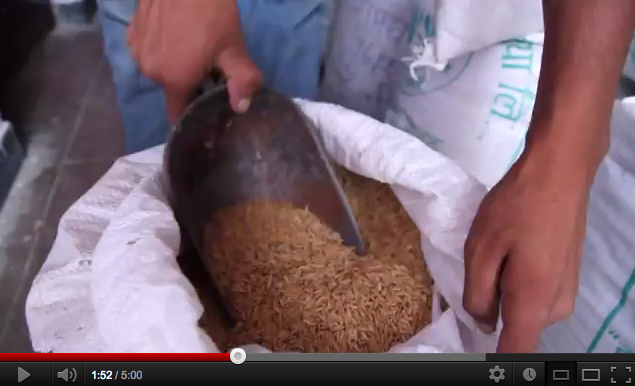 FARMD Annual Conference Introduction Video - Bahasa Indonesia